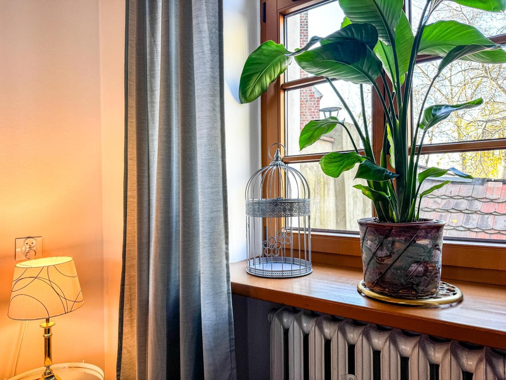 Luxury Decor & Amazing Island Views, Center! 5mins Rynek * Wrocław